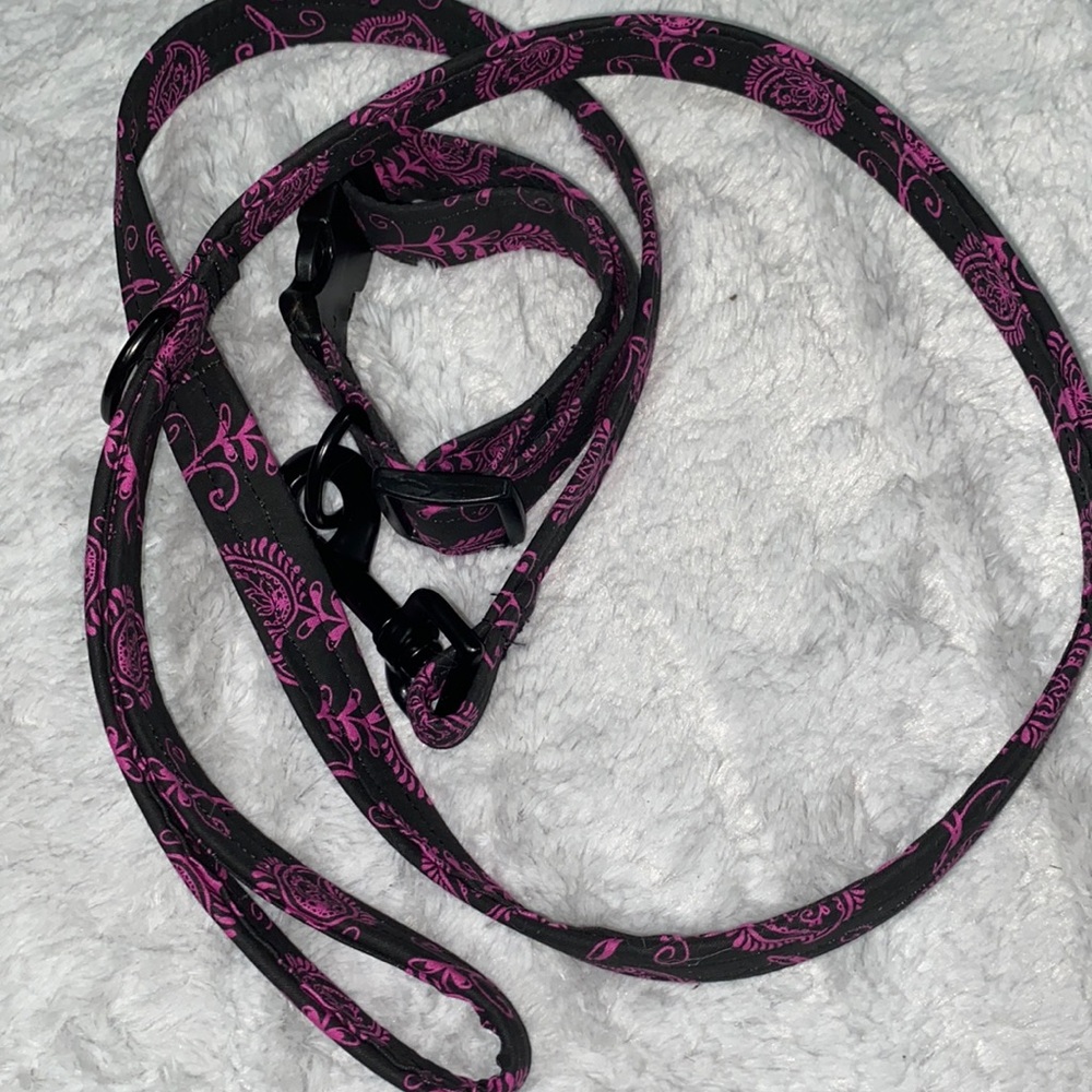 98. 🌟Host Pick🌟 Homemade unique pattern matching dog leash & collar